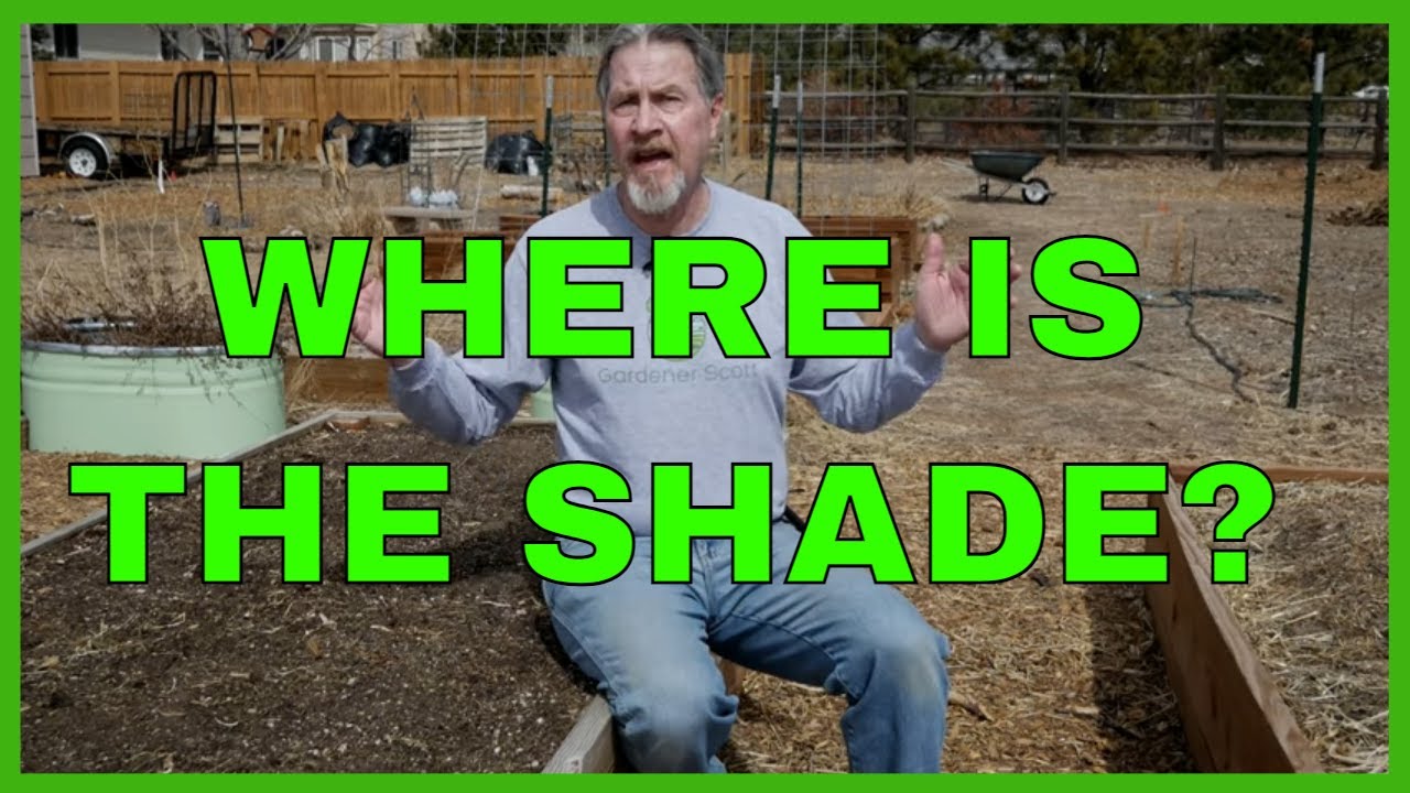 How to Find the Best Spot for Plants (Sun Map Your Garden) - YouTube