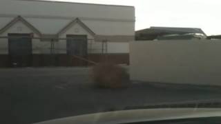 Tumbleweed!