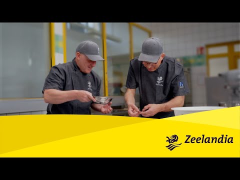 Zeelandia Deutschland –  Backen verbindet | Unser Unternehmen stellt sich vor