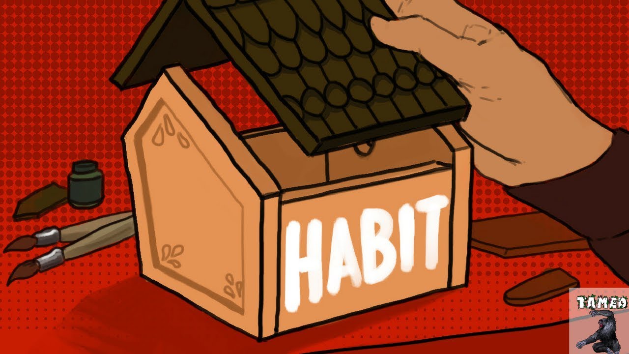 How To Properly Build Your Habit (MOST IMPORTANT Tamed Lesson)