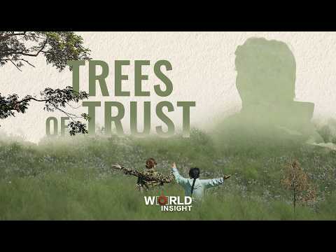 Trees of Trust｜Before the reunion of Yin Yuzhen and Sakolsky