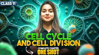 Cell Cycle and Cell Division Class 11 One Shot | NCERT Biology Full Chapter-10 Revision | CBSE 2025