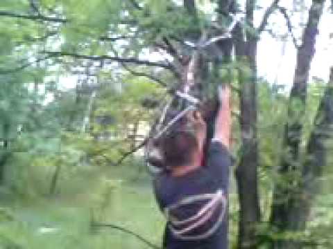 stary waxy dopada rower cygana cz 1