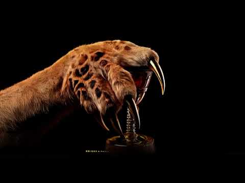 Barsi - Multiplica (Visualizer Oficial)