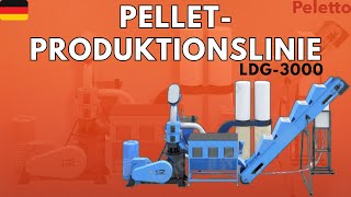 Peletto LDG-4000 (MAX+) Pelletproduktionslinie | 41 kW | bis zu 450 kg/h Pelletpresse kaufen - Bild 2 | Autoline DE Neuer Peletto LDG-4000 (MAX+) Pelletproduktionslinie | 41 kW | bis zu 450 kg/h Pelletpresse | Bild 2 - Autoline