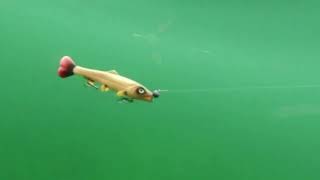 Hostage Valley Troubletail 14cm UV Saibling