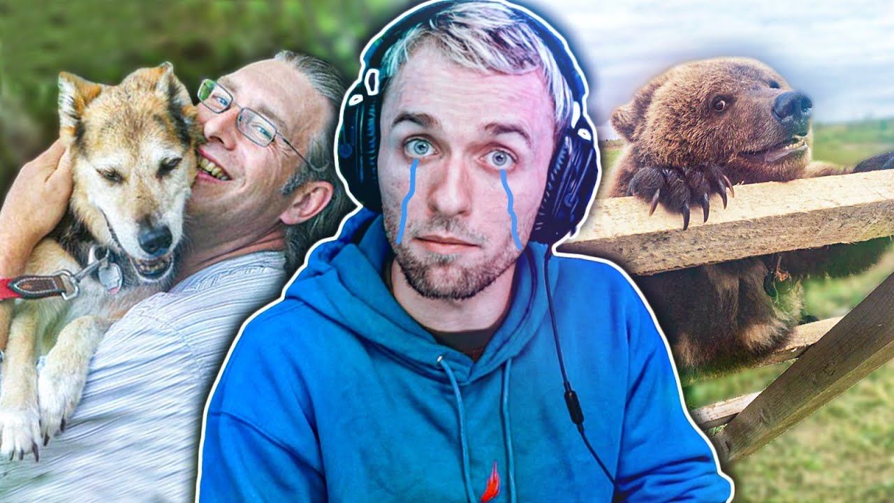 j'en ai marre de pleurer devant ça thumbnail