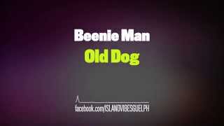 Beenie Man - Old Dog
