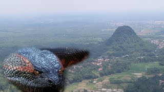 Download lagu Gunung Nyungcung, Selain Keberadaan Ular Besar? Gunung Ini, Sarat Misteri mp3 Download lagu Gunung Nyungcung, Selain Keberadaan Ular Besar? Gunung Ini, Sarat Misteri mp3