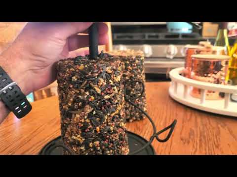 YouTube video about: How to make homemade bird seed cylinders?