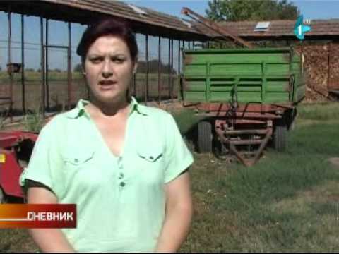 Sve se više krade po Vojvodini