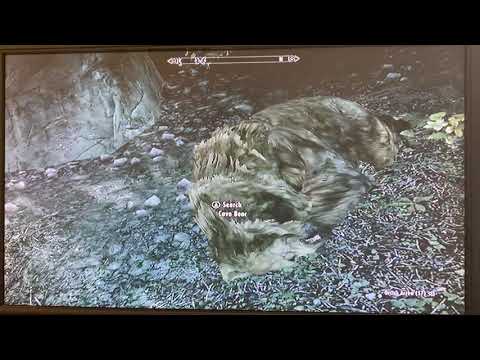 Skyrim Legendary Edition - Walkthrough Part 194: Stocking the prey