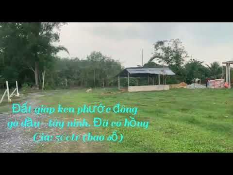 Đất nền vùng ven tp hcm, giá rẽ đầu tư, đất giáp ranh kcn nghiệp phước đông