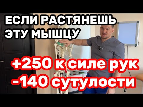 Растяни эту мышцу +250 к силе рук -145 сутулости. Спина выпрямляется,онемение пальцев проходит сразу