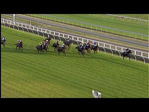 Race Replay: Te Rapa Race 9 - 27 April