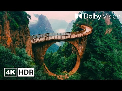 Green Ambience DOLBY VISION 4K HDR - So real you will think you're inside 60 fps with soothing music