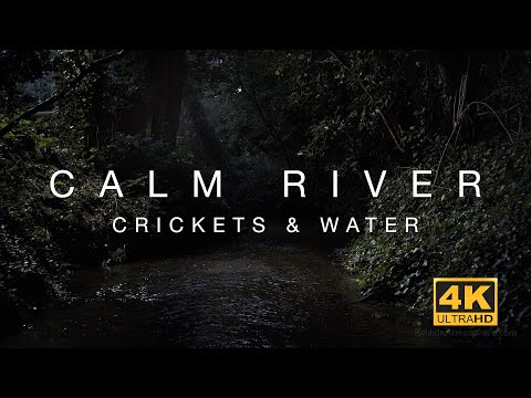 4K Calm River - 3 Hours of water flowing & crickets chirping - relaxing sleep sounds & ambience