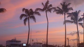 preview picture of video 'Hawaii,Oahu island,Honolulu,Waikiki (Hawai)'