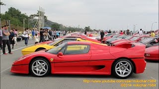 preview picture of video '大乗フェラーリミーティング2014 - Ferrari Meeting at Oiso Long Beach Japan'