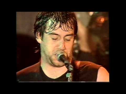 the macc lads- fluffy pup