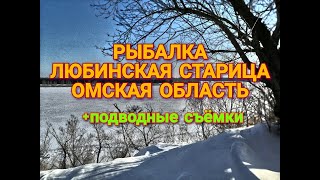 Ссылка