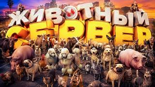 Животный сервер! 🐀🐷🐤 (GTARP)