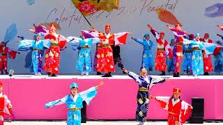 踊り陣　叶和　　きんさいYOSAKOI　　広島フラワーフェスティバル