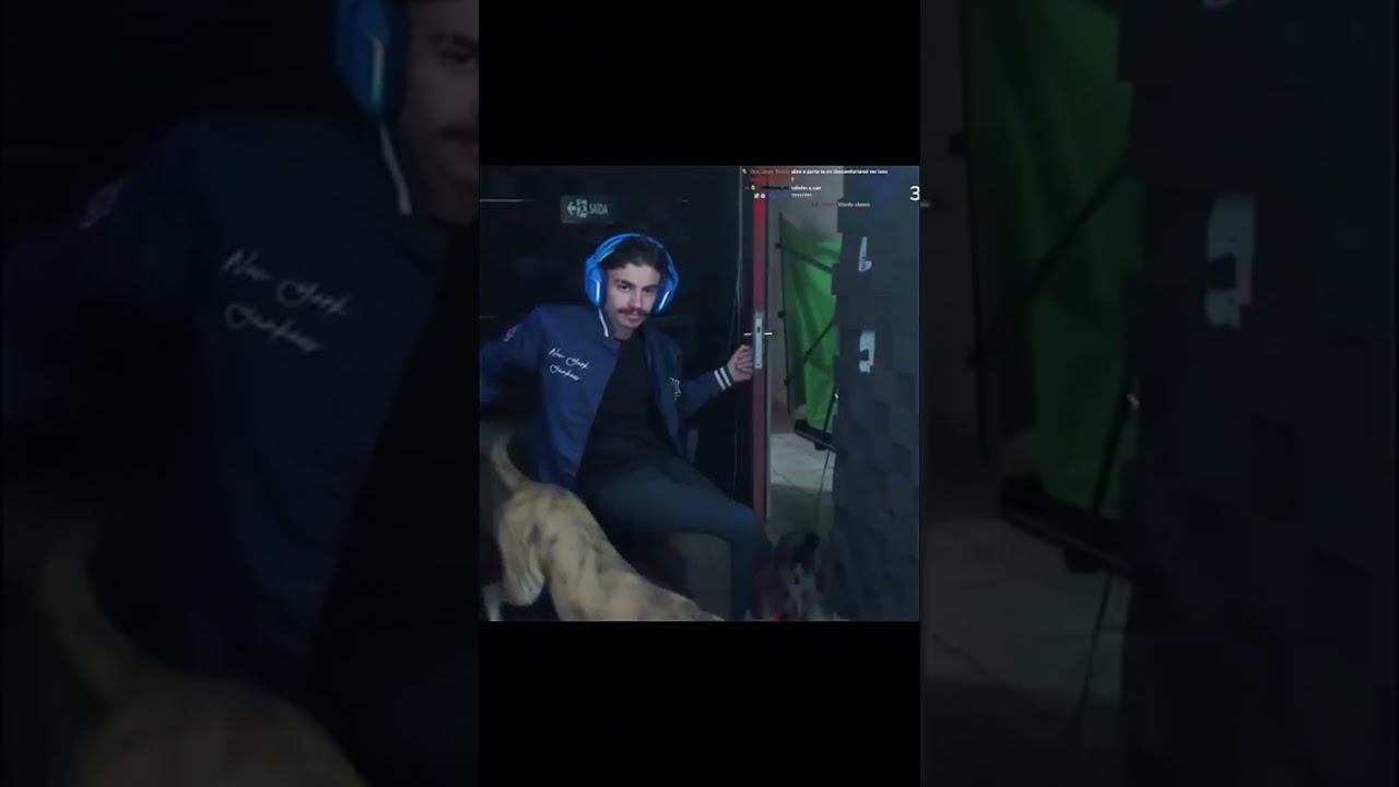 Silly and Tigrão tricked Bistecone like this! 😂 #bistecone #humor