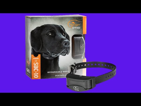 Before You Buy SportDOG Brand NoBark 10 Collar - Rechargeable, Programmable Bark Collar