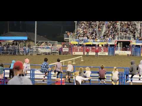 EhCapa  Bareback Riders in Steamboat Springs, Colorado Rodeo August 5, 2023