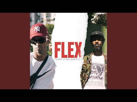 Flex (feat. Nelassassin)