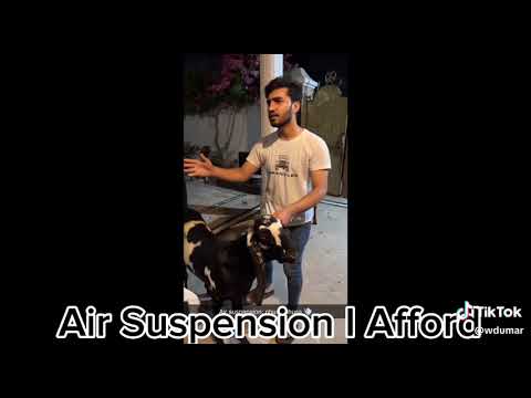 suspension AFFORD 🤣 (GHUFRAN VLOGS)