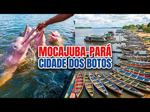  ( MOCAJUBA PARÁ ) A CIDADE DOS BOTOS