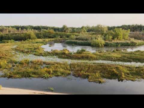 Delta Argesului, un loc cu adevarat mirific!