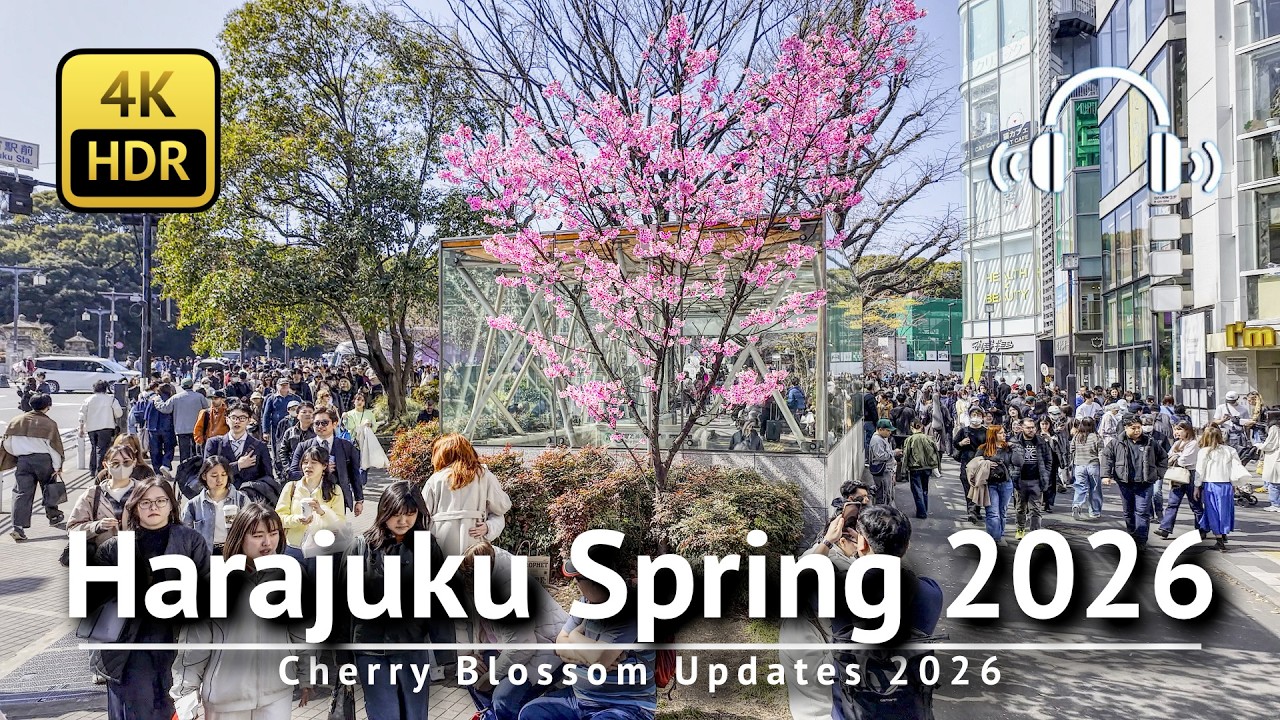 🌸 Tokyo Cherry Blossom Season Just Kicked Off! Harajuku Spring 2026 Walking Tour [4K/HDR/Binaural]