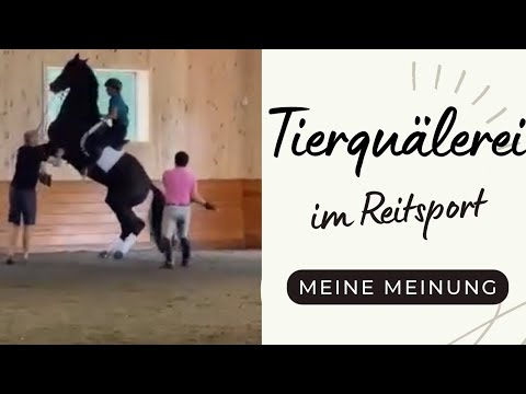 Tierquälerei im Reitsport