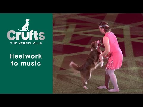 HTM International Freestyle Winner | Crufts 2023