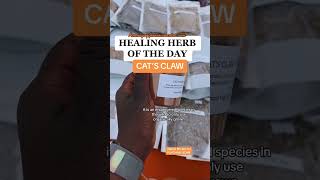 CAT’s CLAW HERBAL BENEFITS #holistichealth #femmeyogipreneur #healingherbs