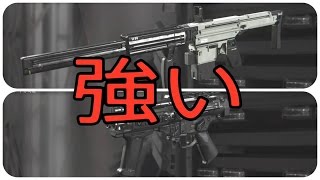 # 68 【COD：IW】新武器W持ち＆ボイス追加DLC報告【TDM・X-Eon＆VPR】