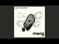 "Ysbeidiau Heulog" Super Furry Animals (2000, vinyl needle drop from "mwng" LP)