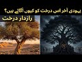 Gharqad Ka Darakht Yahudiyon Ka Darakht I The Jews Tree I Haqiqat Hadess Aur Jadid Waqiat