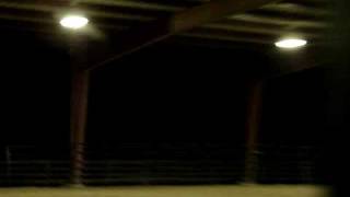 Smashed Lady Faye July 2009