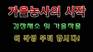[텃밭농부 1,609]  가을농사의 시작. 김장채소 등 가을작물을 키우기 위해서 이 작업부터 합시다.