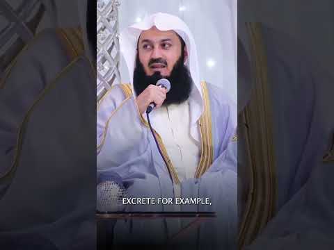 ARE CATS REALLY PURE?? 🐱🐈🐈🐱 #shorts  #cats #arecatspure #petfacts #IslamOnCats #animallover