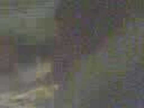 YV5NWG CONTEST WPX 2008 YW4M MM