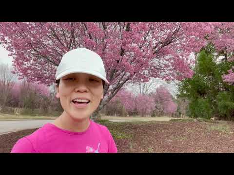 Deploy Istio for Production Workshop