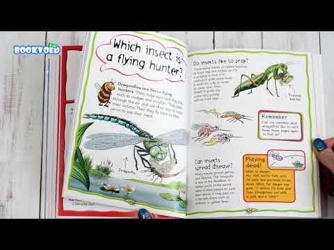 Видео обзор My First Question and Answer Book