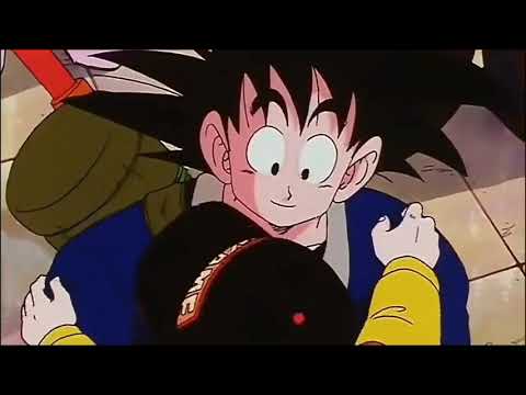 Goku se reencuentra con Krilin y compañía