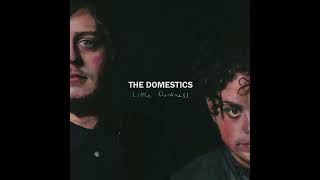 The Domestics - Little Darkness FULL ALBUM