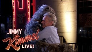 Harrison Ford Settles His Feud with Chewbacca